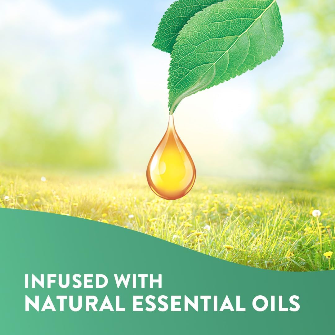 Air Wick - Freshmatic Automatic Air Freshener Refills with Natural Essential Oils, Fresh Spring Oasis, 24/7 Odour Neutralisation