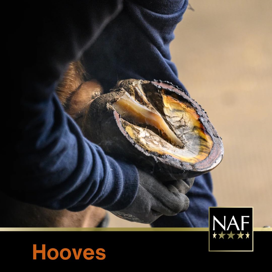 NAF Profeet Farrier Solution - Daily Hoof Dressing for Strength & Moisture Balance | 500ml 8