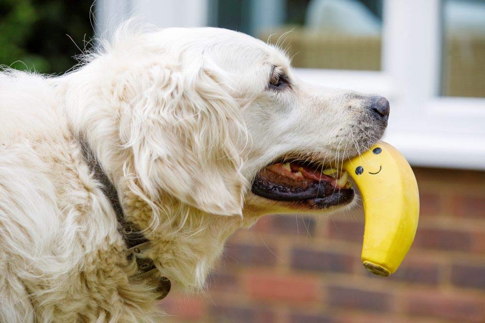 Petface Large Latex Banana Soft Chew Dog Toy | Durable | Squeaker Inside 5