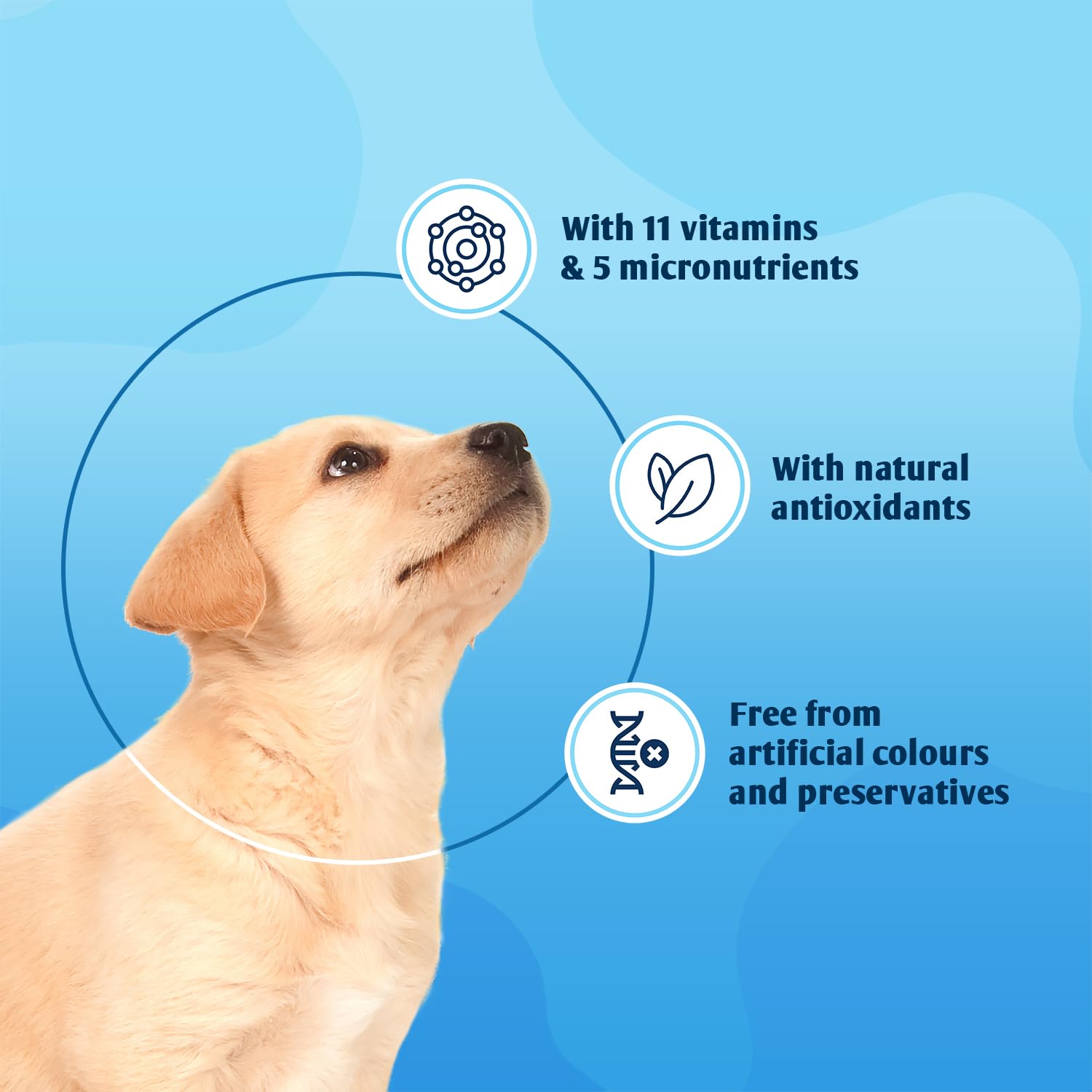 8in1 Puppy Multivitamins Nutritional Supplement - 11 Vitamins & 5 Minerals for Healthy Growth | 100 Tablets 3