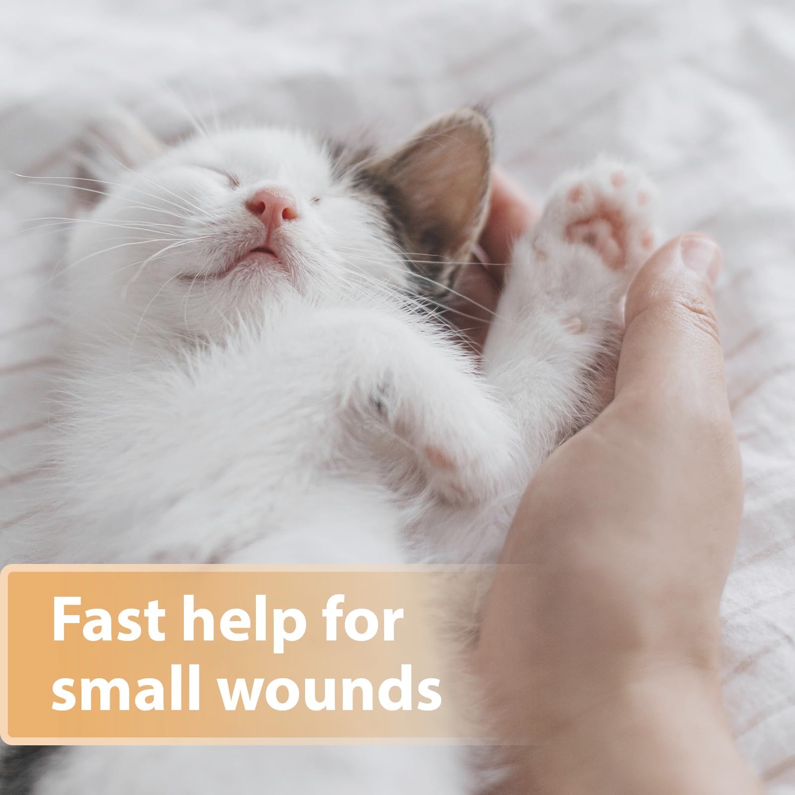 Felisept Wound Spray for Cats - 75ml Antiseptic | Veterinarian Recommended | Made in Germany 2