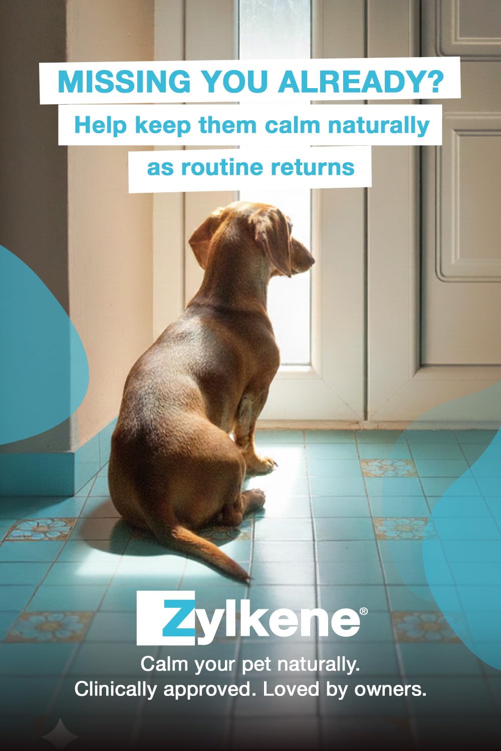 Zylkene Calming Chews for Small Dogs up to 10kg - 14 Chews | Promotes Relaxation 3