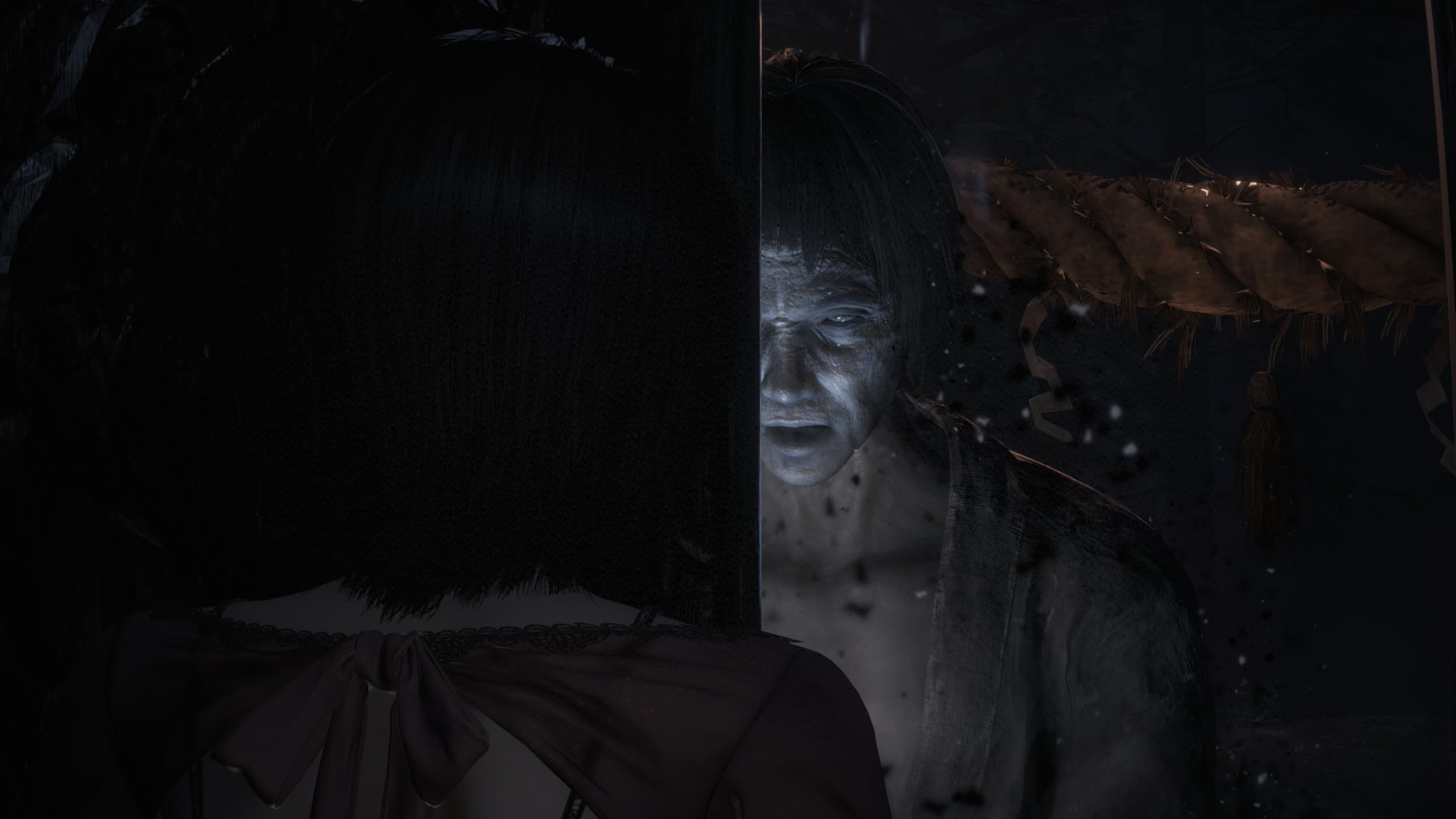 Fatal Frame II: Crimson Butterfly [Xbox Series X] 5
