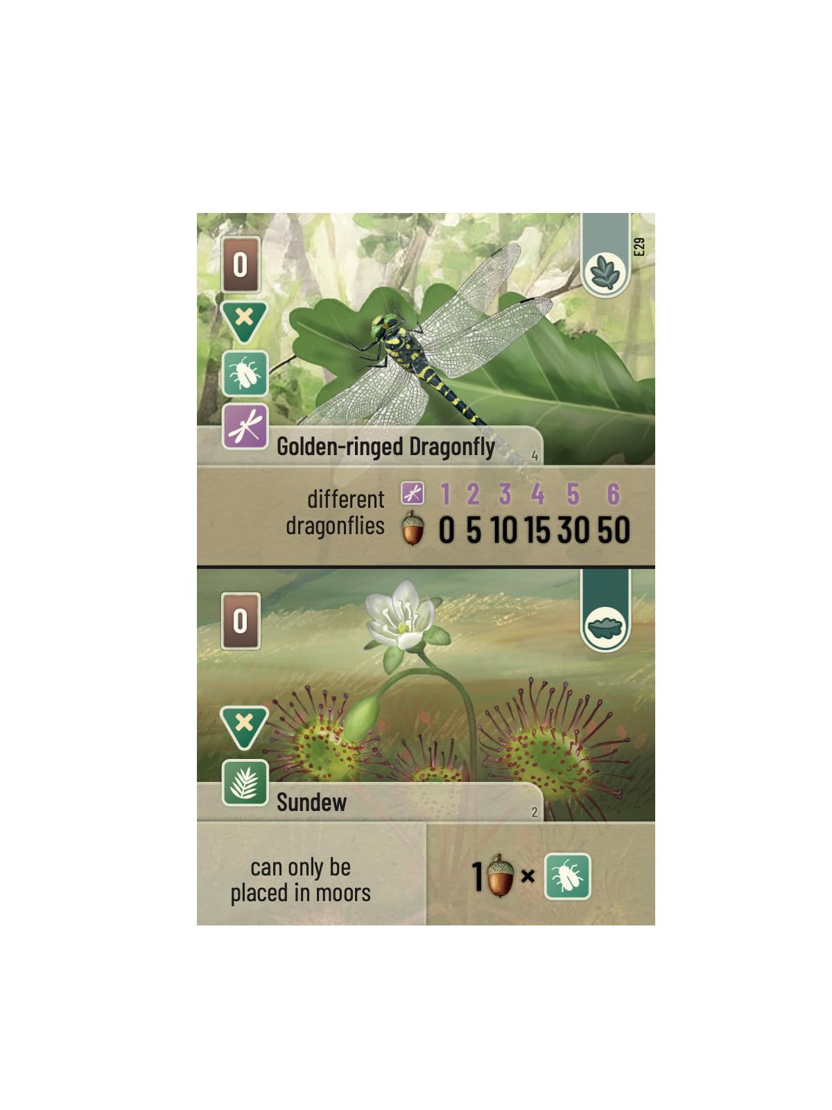 Asmodee Forest Shuffle Dartmoor: Exmoor Expansion Board Game | Ages 10+ 6