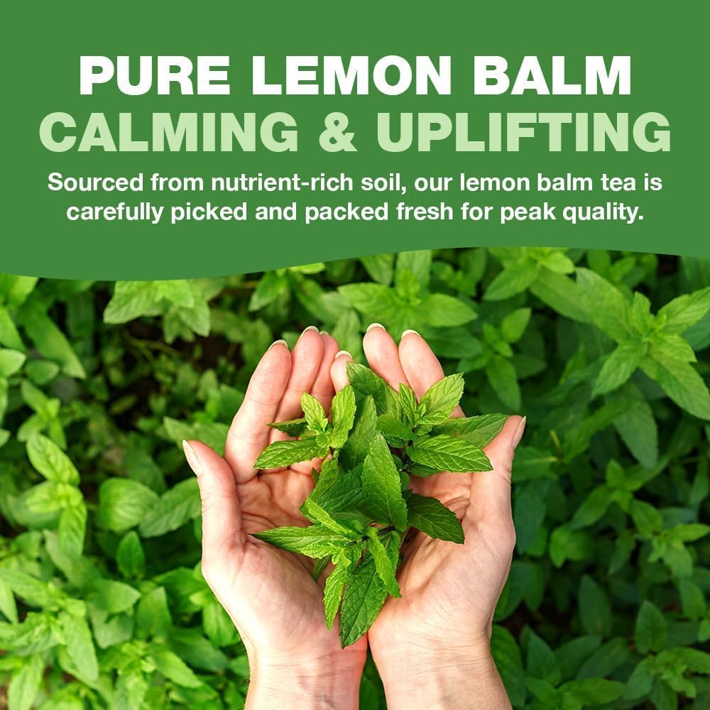 HANDPICK Lemon Balm Tea Bags – 100 Count | Caffeine-Free, Gluten-Free Herbal Tea from India
