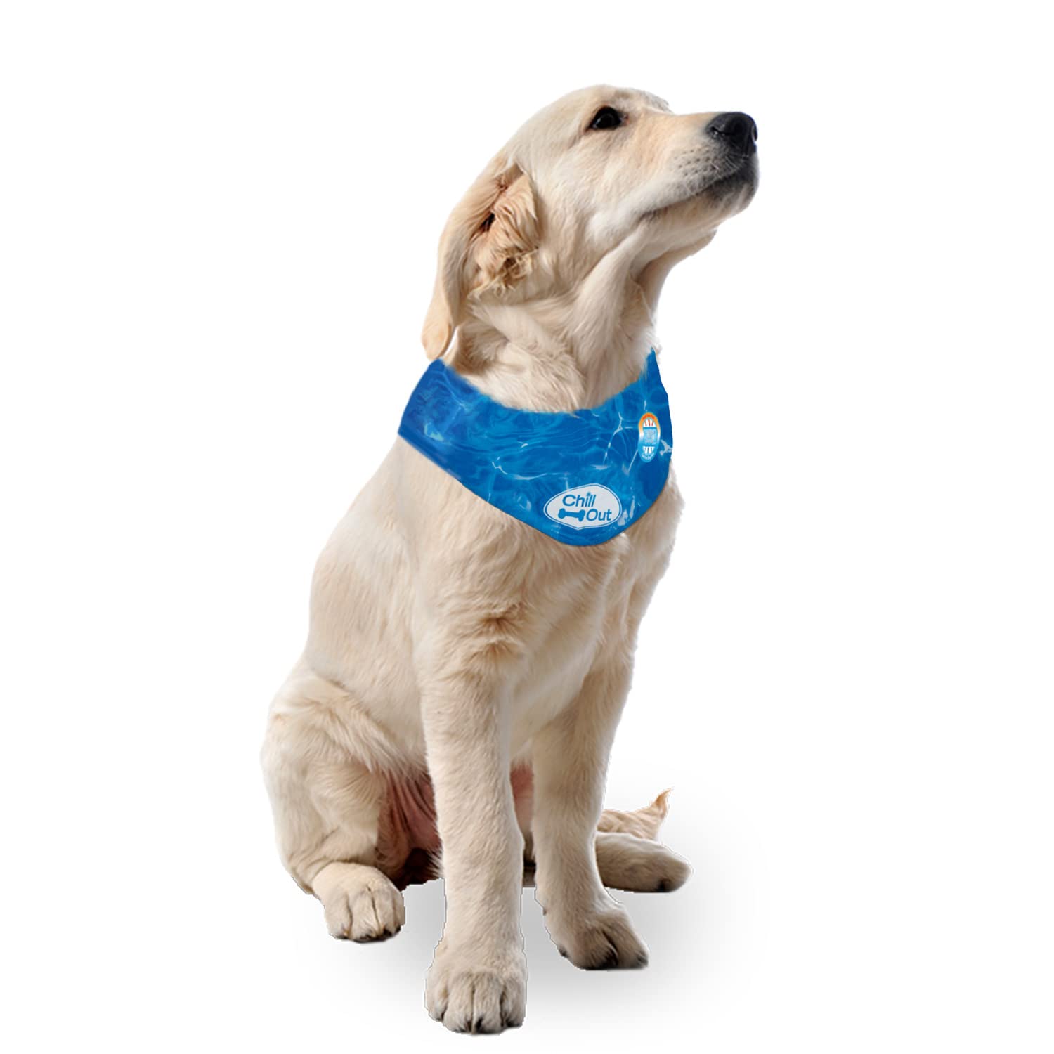 ALL FOR PAWS Chill Out Ice Dog Bandana - Cooling Technology | Extra-Large | Blue 8
