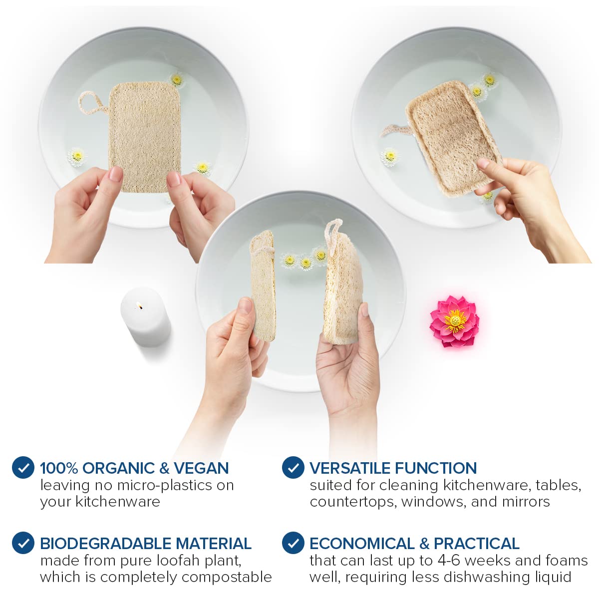 Joeji's Kitchen - Pack of 8 Natural Eco Dishwasher Sponges