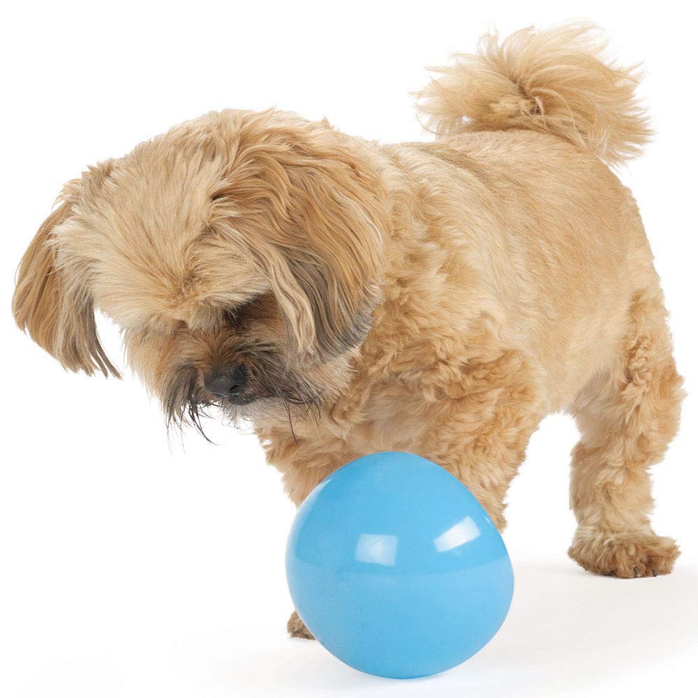 Outward Hound Orbee-Tuff Snoop Interactive Treat Dispensing Dog Toy - Large, Blue, Mint Scented 4