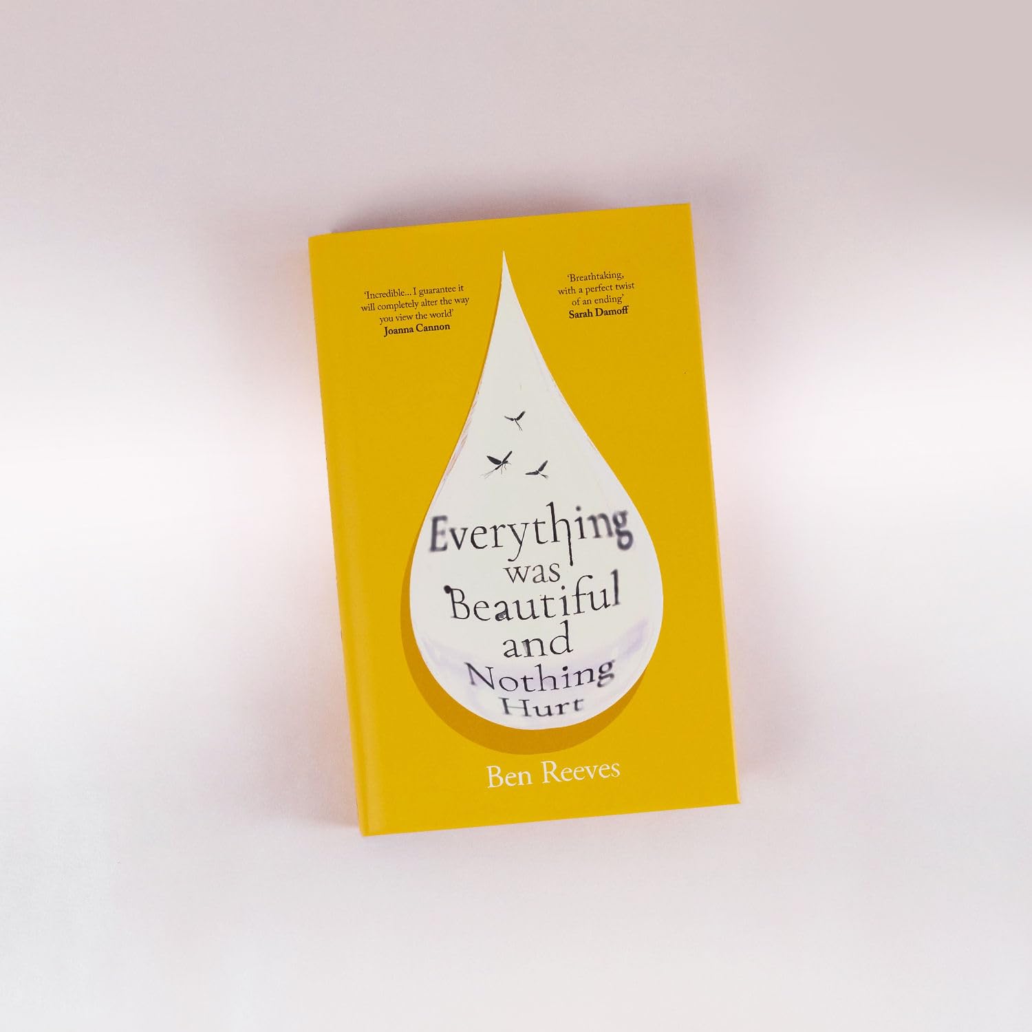 Everything Was Beautiful and Nothing Hurt: The gorgeous, uplifting top ten by Ben Reeves (Hardcover) 4