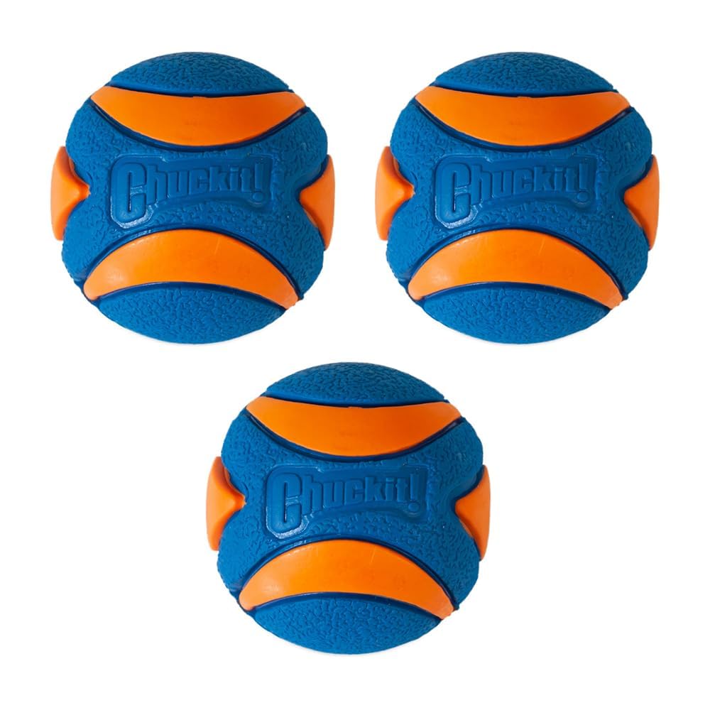 Chuckit! Ultra Squeaker Dog Ball - Medium Natural Rubber Fetch Toy | 3 Pack | Orange