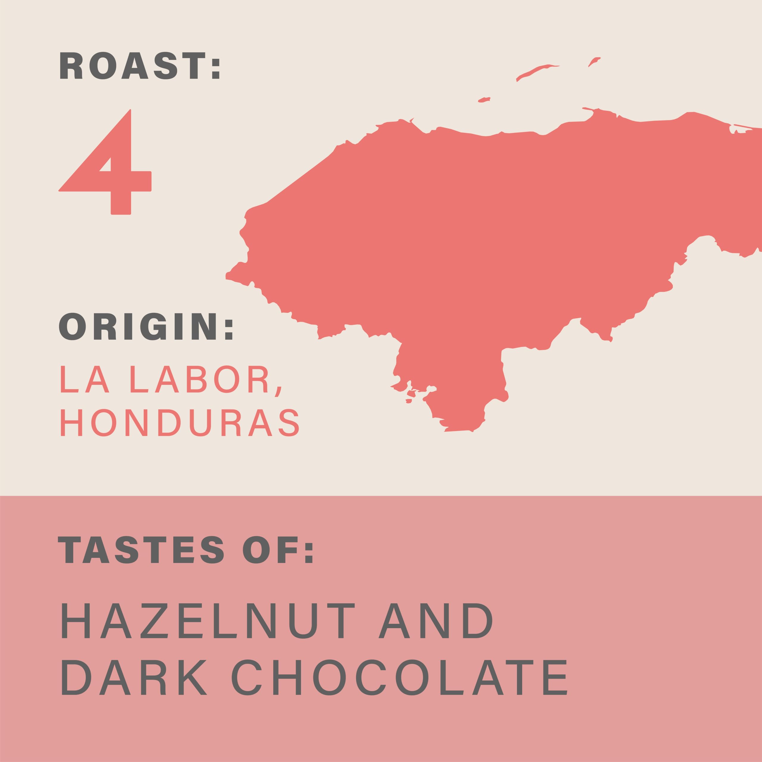 Grumpy Mule Honduras La Labor Organic Ground Coffee - Hazelnut & Dark Chocolate Notes | Roast 4 | 225 g