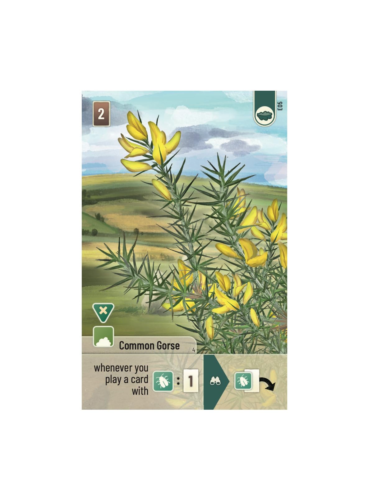 Asmodee Forest Shuffle Dartmoor: Exmoor Expansion Board Game | Ages 10+ 8