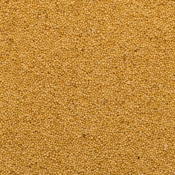 Wholefood Earth Organic Amaranth Seed - Raw Vegan Grain | 1 kg 4