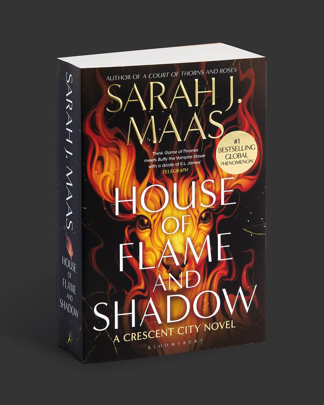 Bloomsbury House of Flame and Shadow - Crescent City Book 3 | Sarah J. Maas | Paperback 3