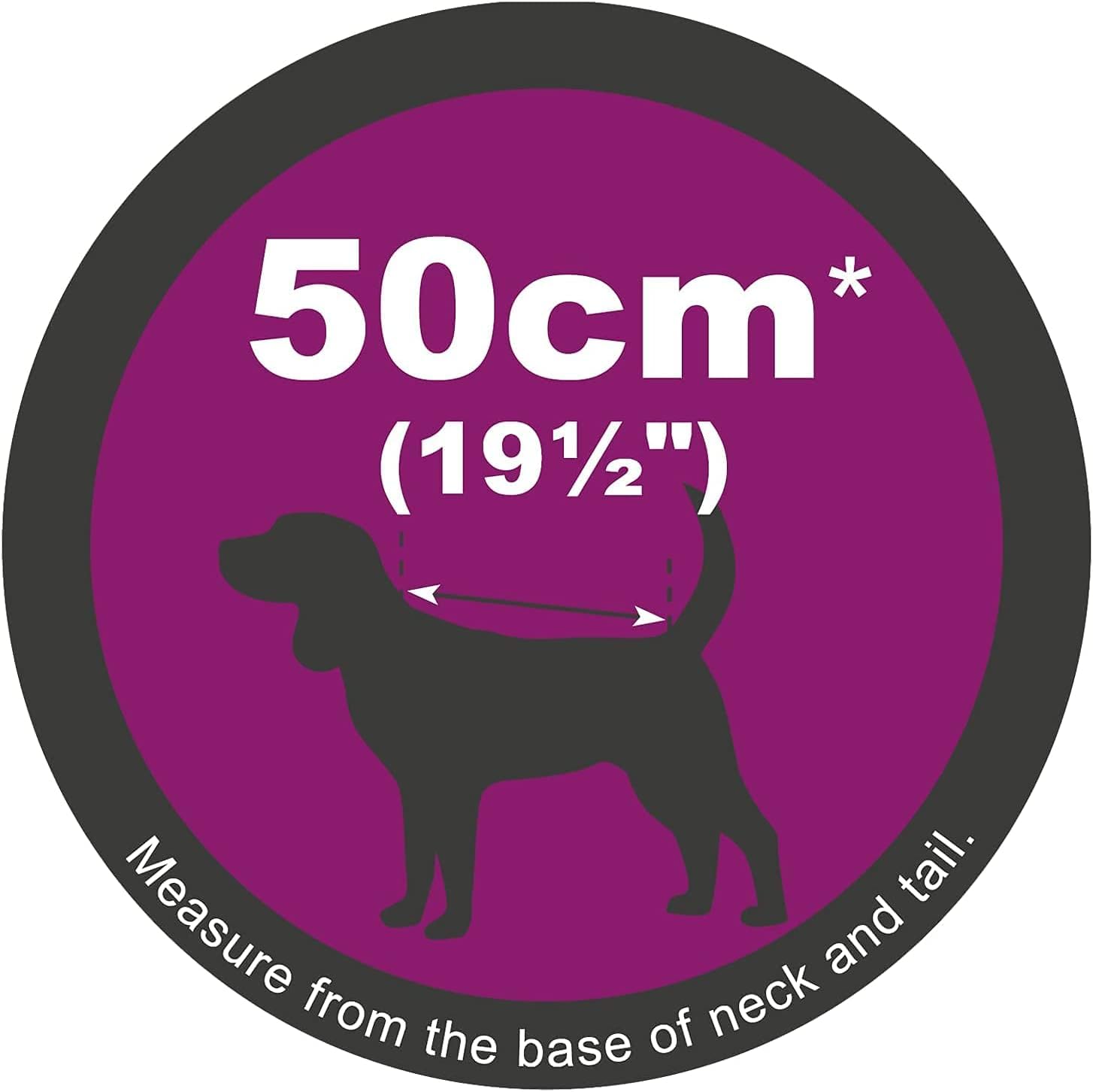 Petface Water-Activated Cooling Dog Coat - 50 cm Medium Size | Lightweight Polyester 5