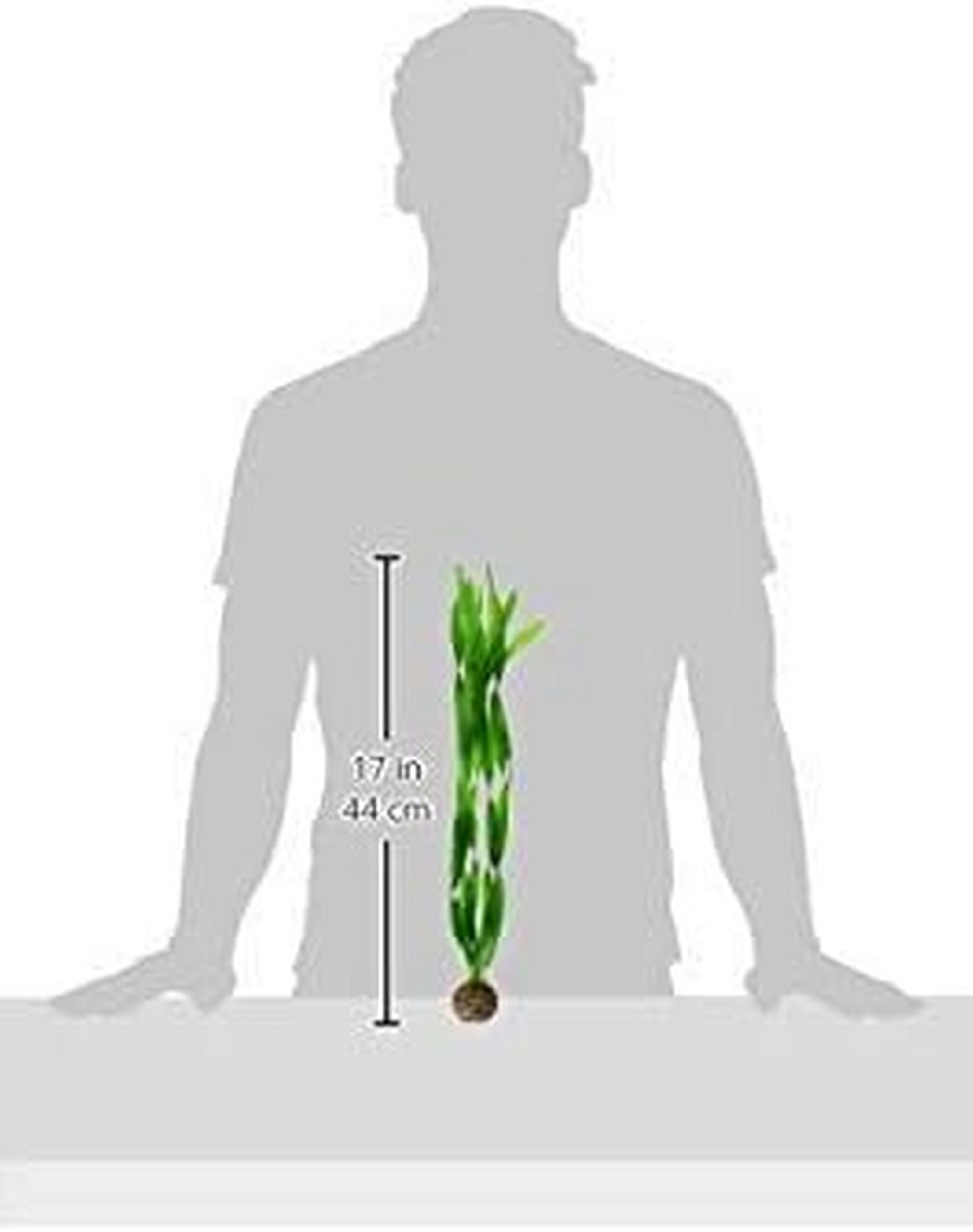biOrb Easy Plant - Tall Artificial Aquarium Plants, Pack of 2, Green