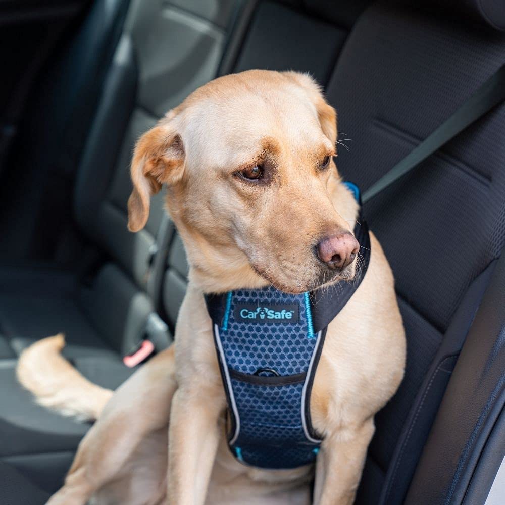 CarSafe Crash Tested Dog Harness - Large Blue | Certified up to 32Kg/70lbs | Dual Use