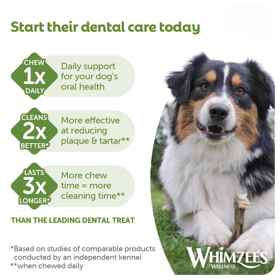 WHIMZEES Dog Dental Stix - Size M, 12 Pieces | Natural, Vegetarian, Grain Free 6