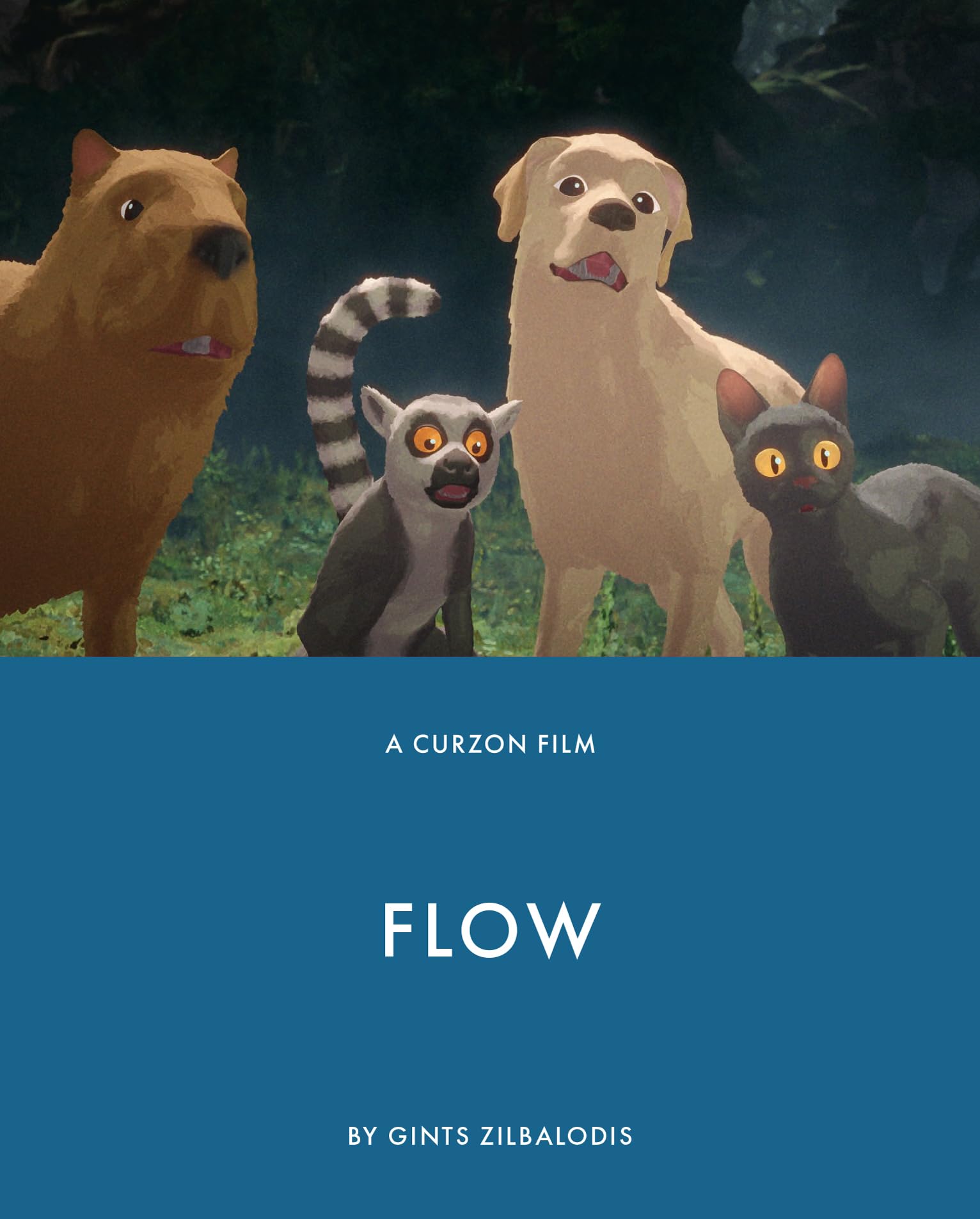Flow [Blu-ray] 3