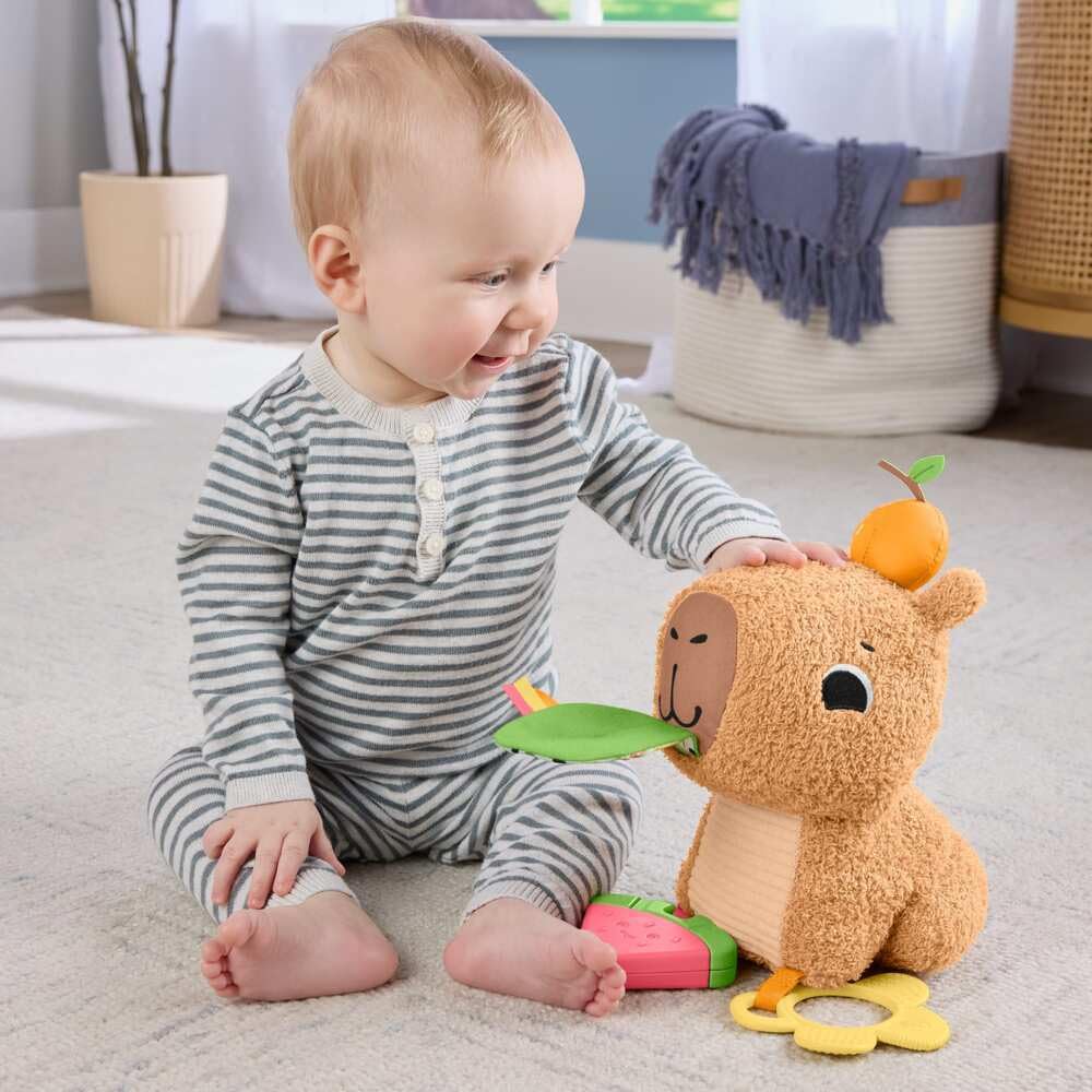 Fisher-Price Snuggly Snacky Capybara Plush - Sensory Baby Toy for 3+ Months
