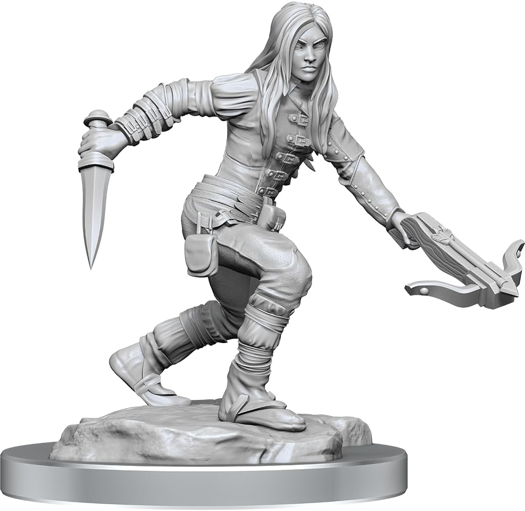 WizKids Half-Elf Rogue Female Nolzur's Marvelous Miniatures D&D Figure 1