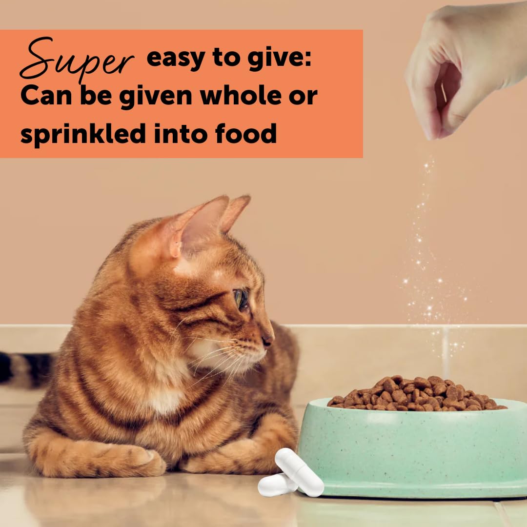 Feliway Cystease - For Stress-Related Bladder Problems in Cats | 300 Capsules 4
