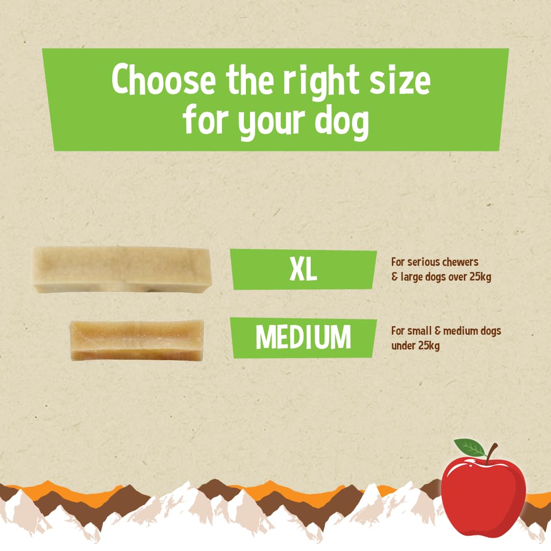 Yakers Apple Dog Chew - Medium Size | Promotes Dental Hygiene | Long-Lasting 10