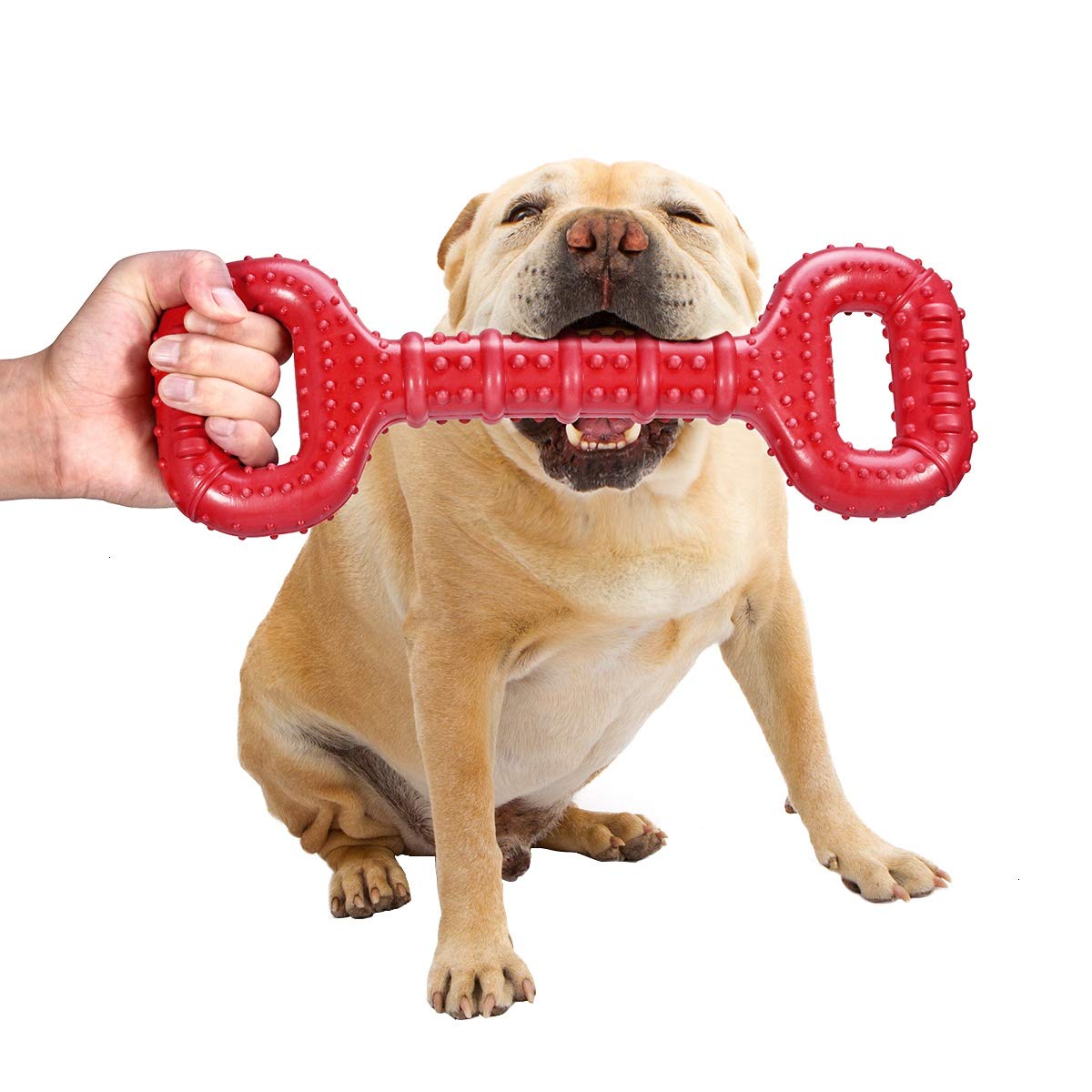 Feeko Large Breed Dog Chew Toy - 15 Inch Indestructible Bone for Dental Health | Natural Rubber | Beef Scent