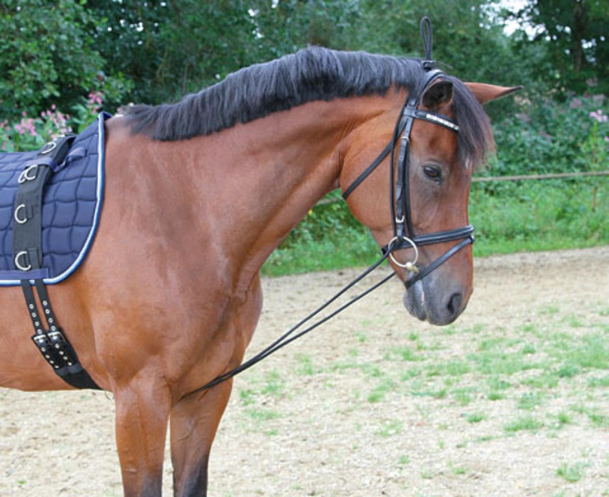 Covalliero Neck Bungie - Horse Training Aid | Black/White | One Size