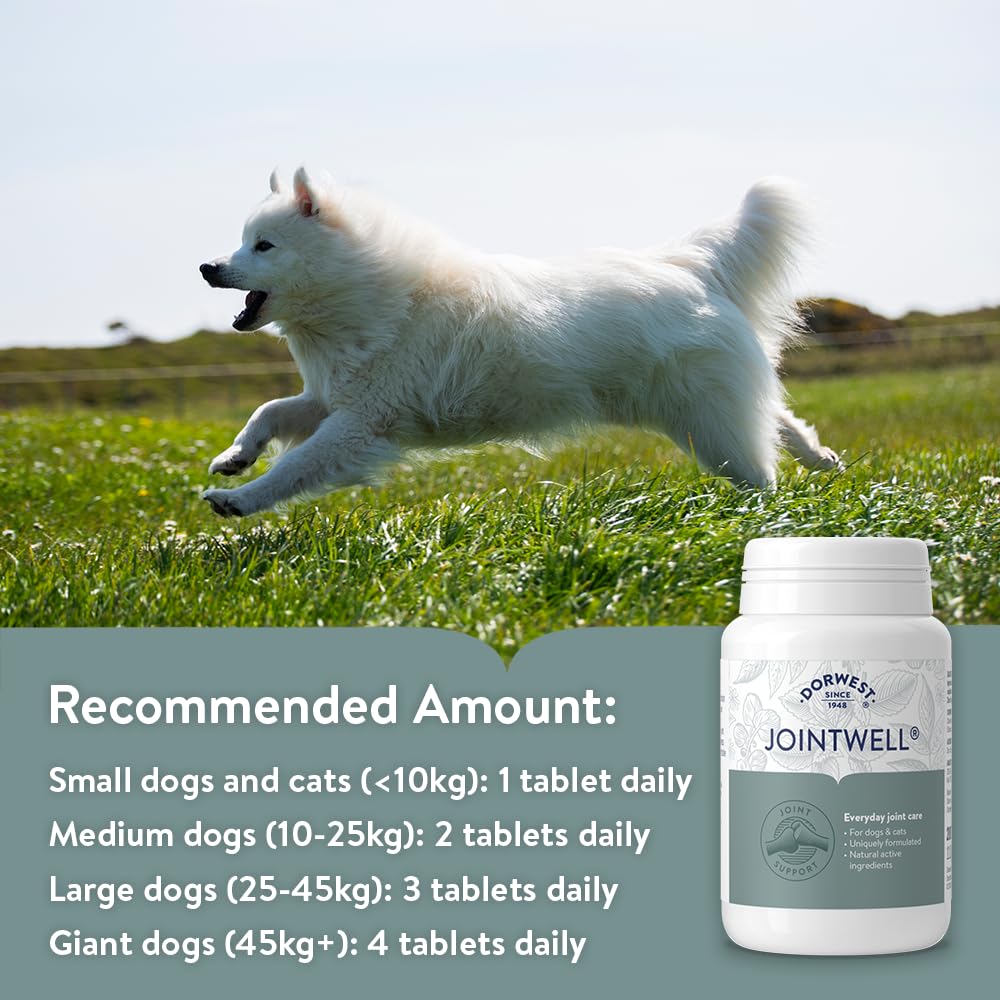 DORWEST HERBS JointWell - Natural Hip & Joint Care Supplement for Dogs & Cats | 200 Tablets 5