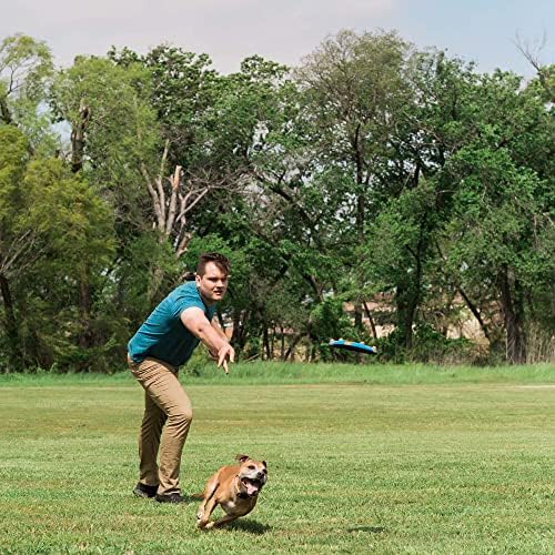 Chuckit! WHISTLE FLYER - High Visibility Multi-Color Dog Frisbee | Durable Rubber | Lightweight 7