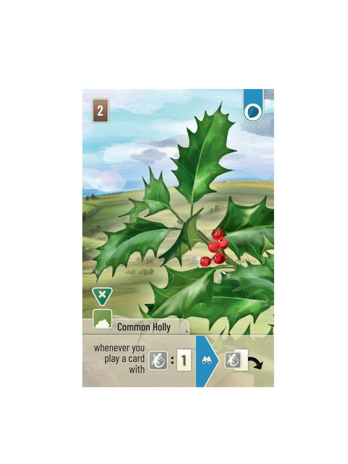Asmodee Forest Shuffle Dartmoor: Exmoor Expansion Board Game | Ages 10+ 7