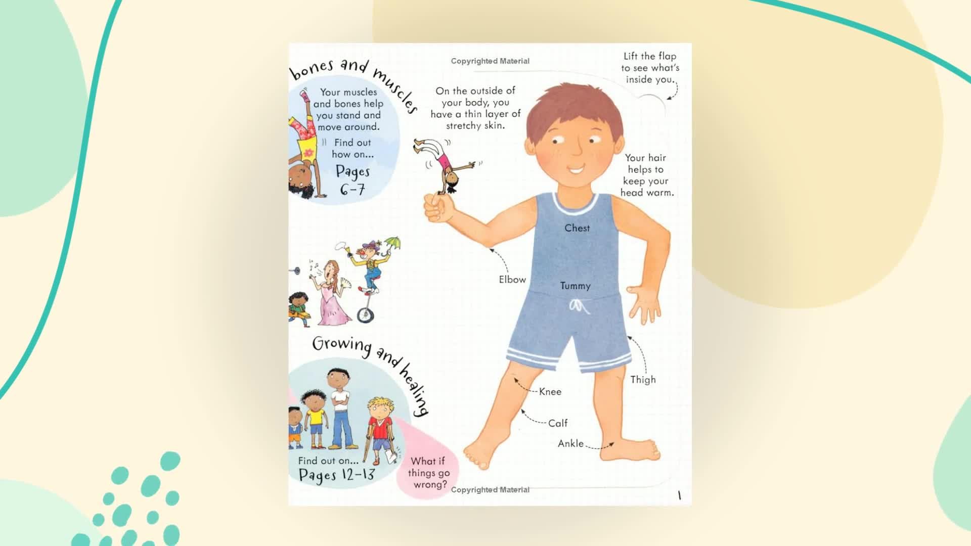 Usborne Look Inside Your Body - Flap Book for Early Learning | Board Book | English