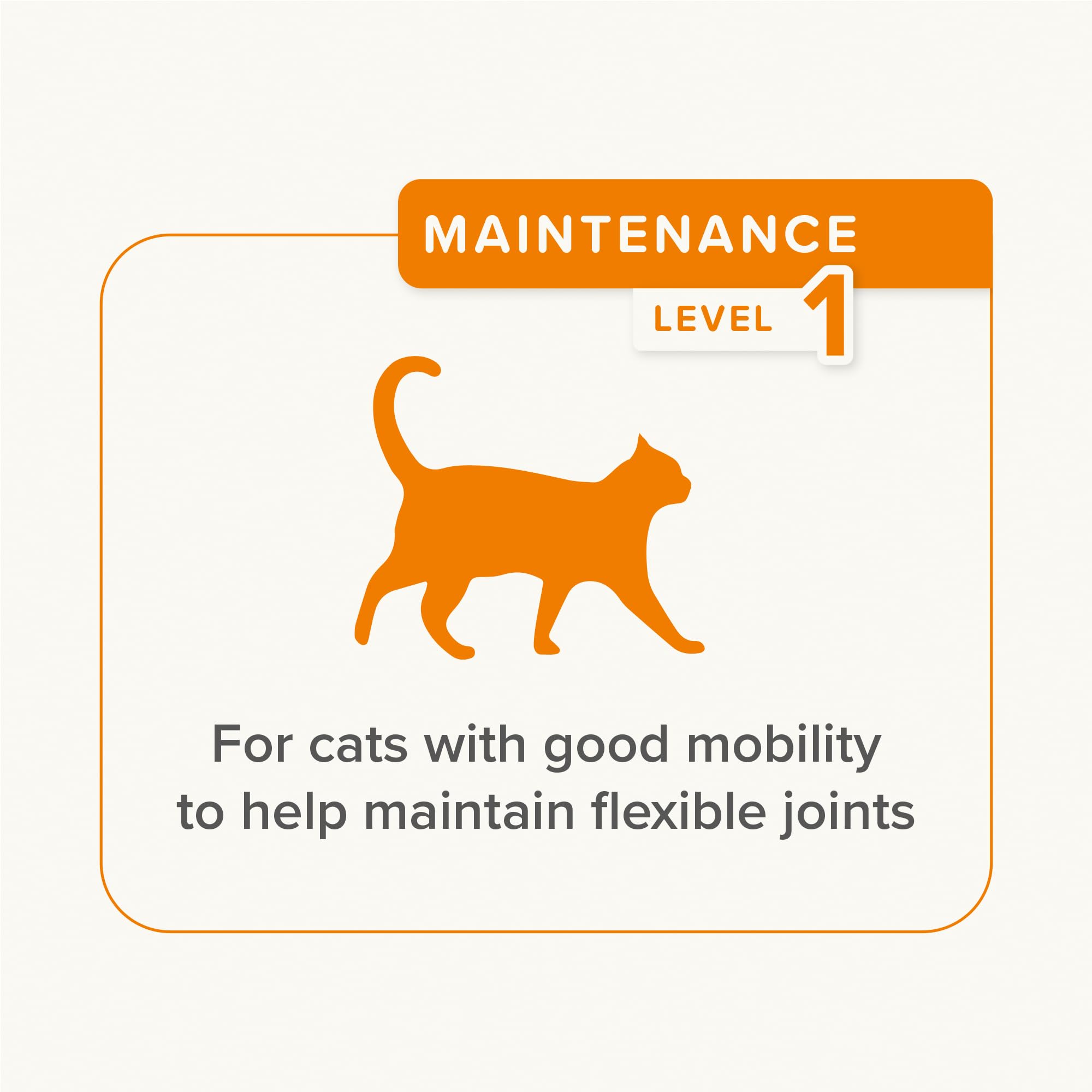 Beaphar Flexifit Joint Care Bits for Cats - Supports Joint Health, Mobility & Strong Bones | 35g 5