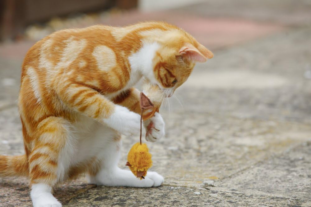 Petface Feather Tail Mice Cat Toys - Pack of 2 | Catnip Scented | Lightweight 7