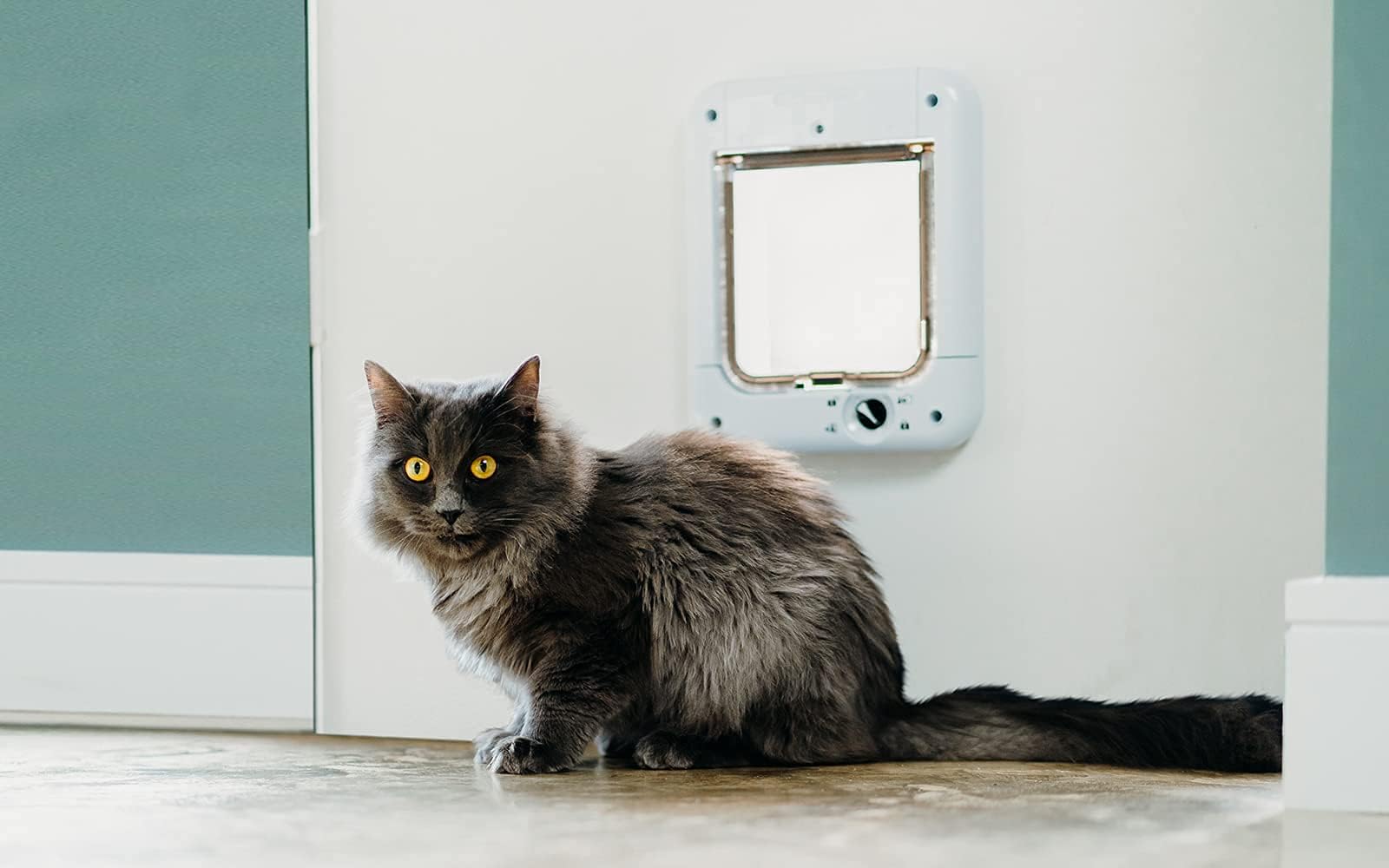 Cat Mate Microchip Activated Cat Flap - White | Up to 30 Cats | 85mm Wall Liner 2