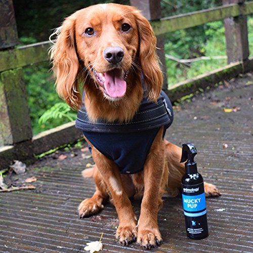Animology Mucky Pup No-Rinse Shampoo Puppy Spray - Waterless Deodorizing for Puppies 6+ Weeks | 250ml