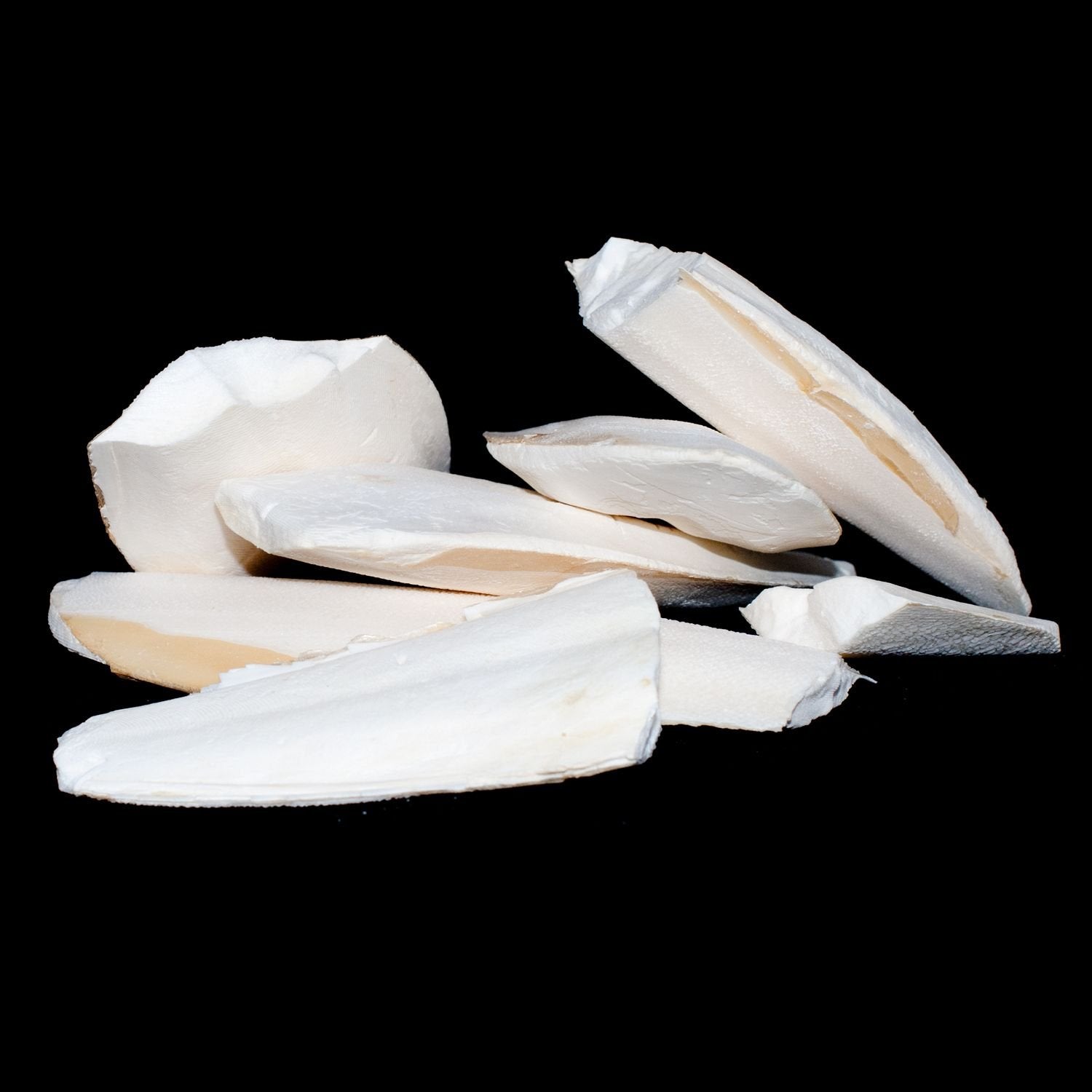 Pet Ting Broken Cuttlefish Pieces - Calcium Source for Birds & Reptiles | 100g