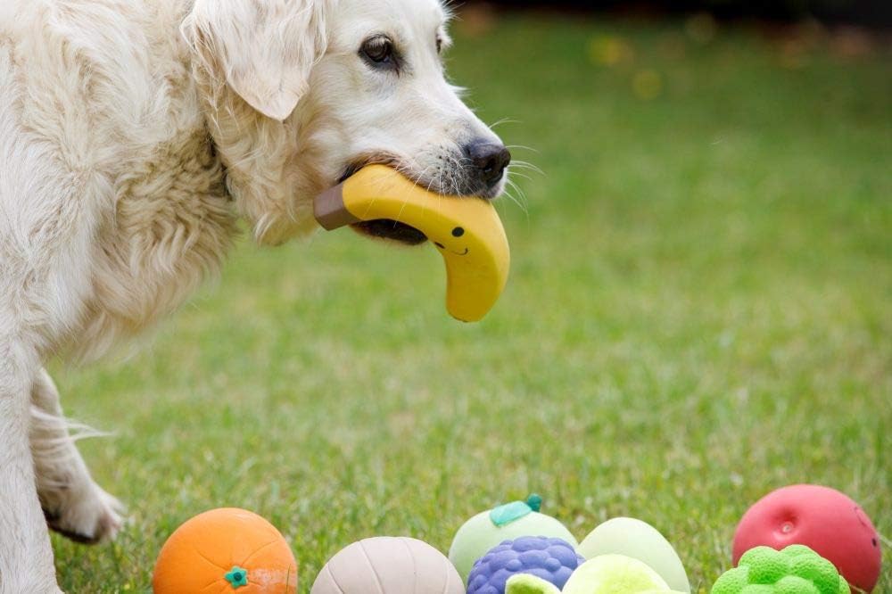 Petface Latex Tomato Soft Chew Dog Toy - Squeaky Fun | Durable Latex | Large Size 5