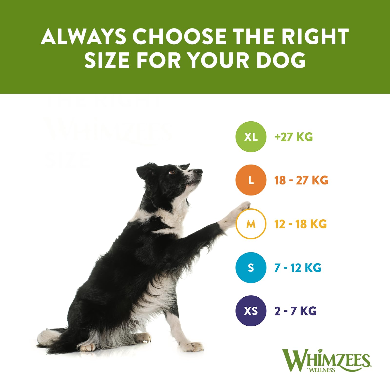 WHIMZEES By Wellness Hedgehog Dental Sticks - Natural, Grain-Free, Large Breed (18-27 kg) | 6 Count 6