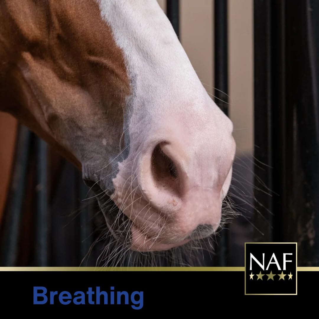 NAF Kof-Eze Respiratory Syrup for Horses - Soothing Throat & Cough Relief | 500ml 4
