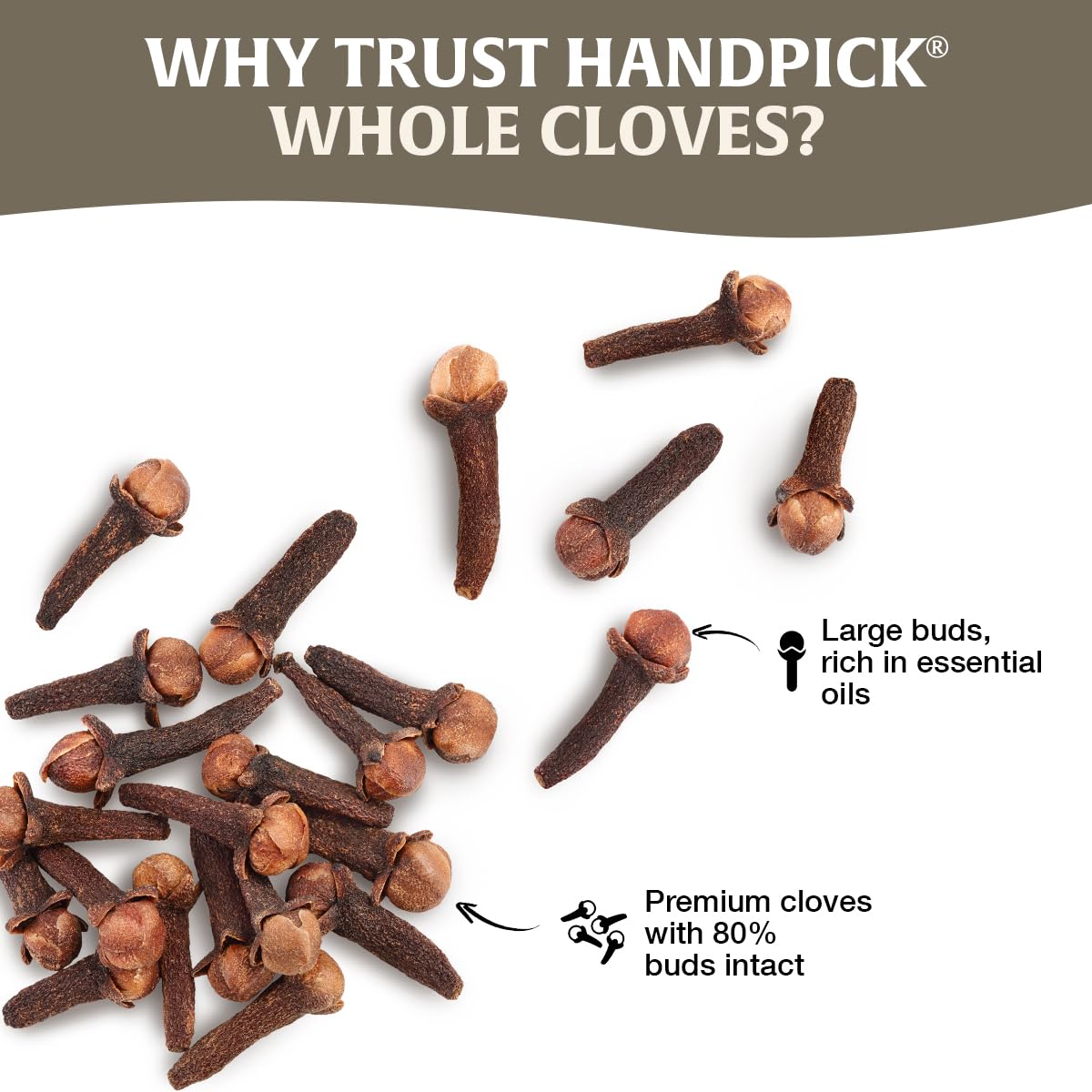 HANDPICK Whole Cloves - Premium South Indian Spice | 397g 5