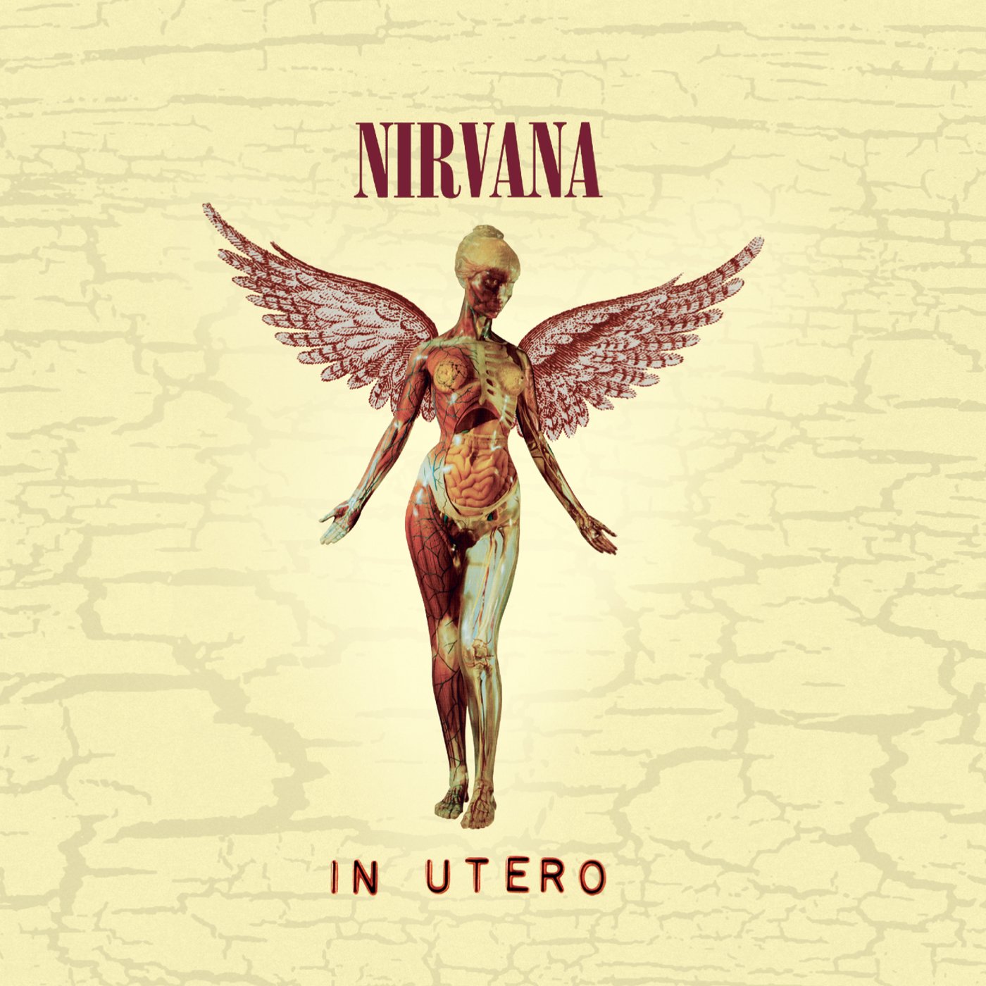 Nirvana - In Utero [Audio CD] 5