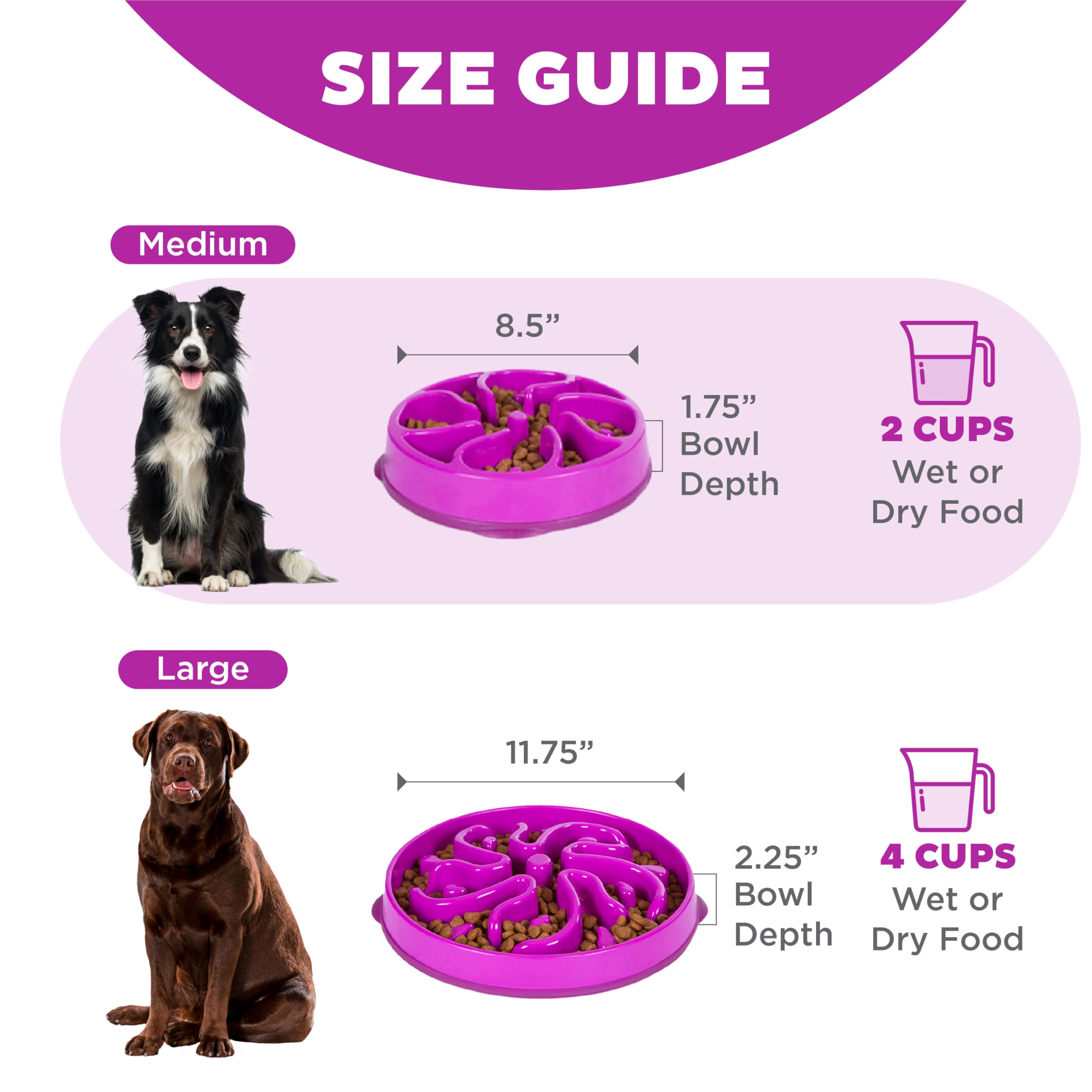 Outward Hound Fun Feeder Slo Bowl - Slows Eating 10X | Medium Size | Purple 5
