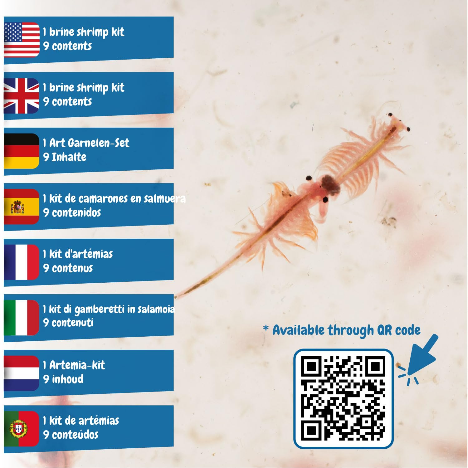 Science4you Jurassic Pets Triops Family Water Dragons Grow Kit for Ages 6+ 4