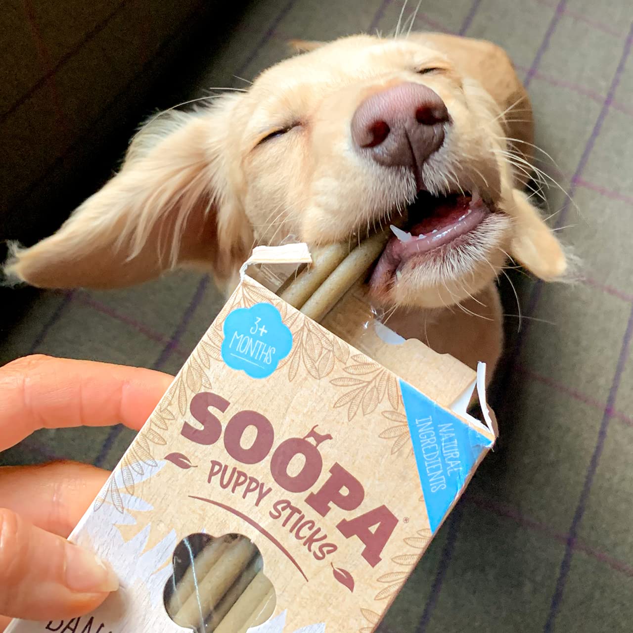 Soopa Banana & Pumpkin PUPPY Dental Sticks for All Life Stages | Low-Fat, Allergen-Free | 110g Bag