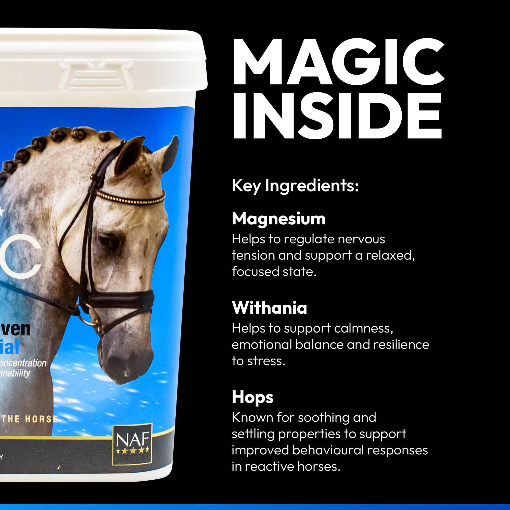 NAF Five Star Magic Liquid - Calming Supplement for Horses | 1L | Magnesium & Herbal Extracts 6