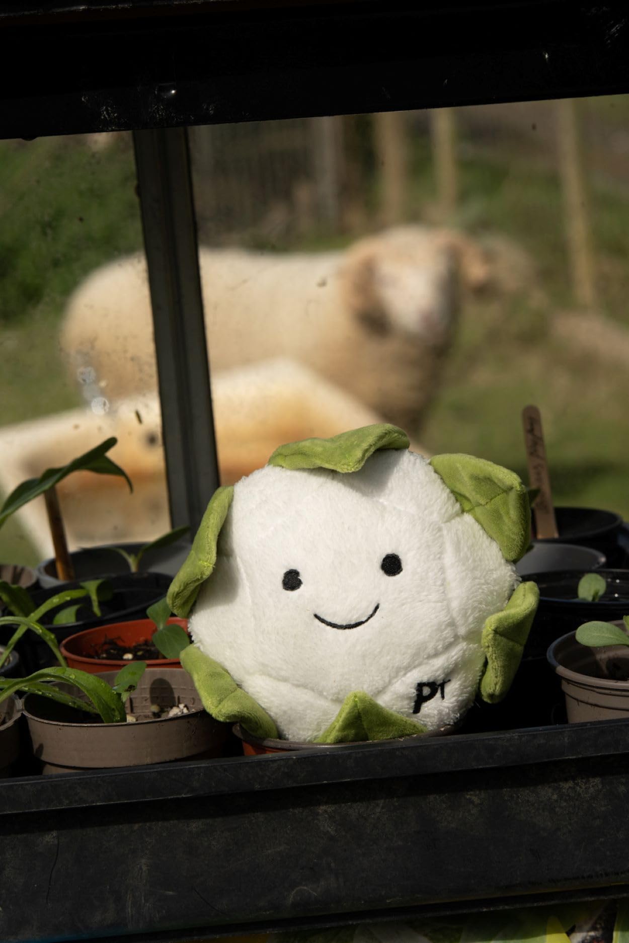 Petface Foodie Faces Cauliflower Plush Dog Toy with Squeaker | Pack of 1 5
