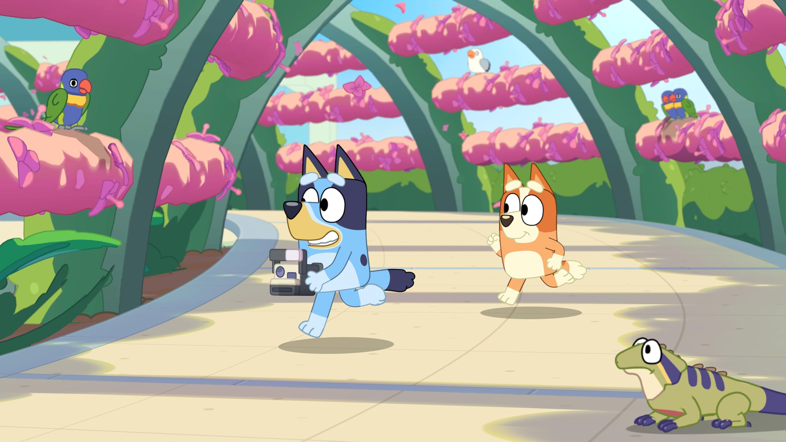 Bluey's Happy Snaps: Deluxe Edition [PS5] 8