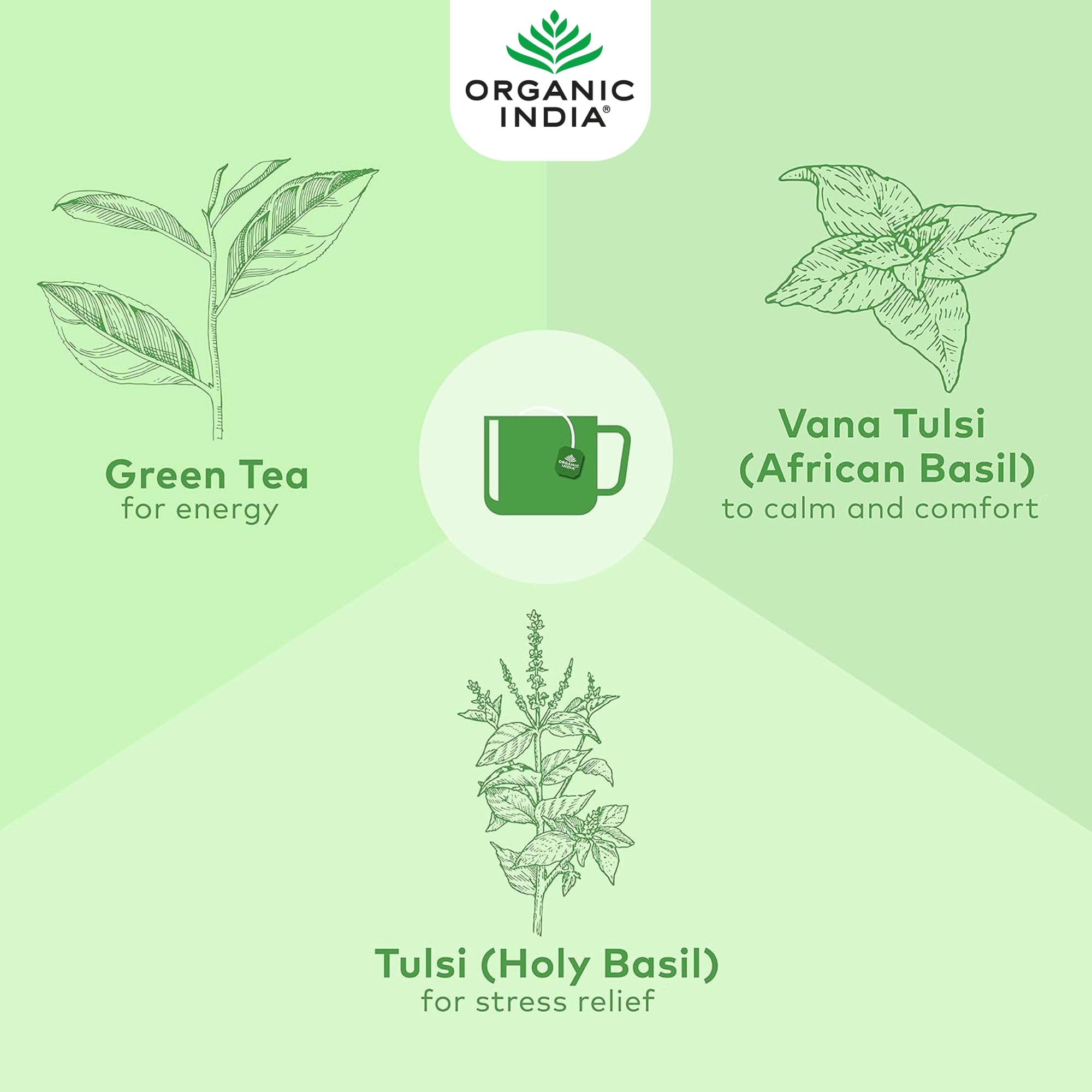 ORGANIC INDIA Tulsi Green Tea Classic - Certified Organic & Vegan | 18 Teabags 6